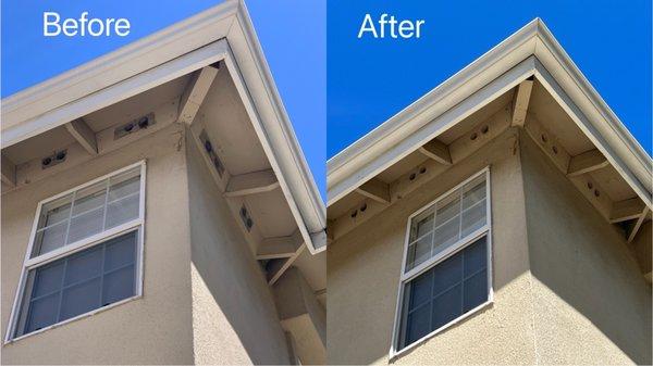 Jacob replaced the old mesh put up by previous home owners. They now look much nicer, almost unnoticeable from the distance.