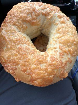 Asiago bagel