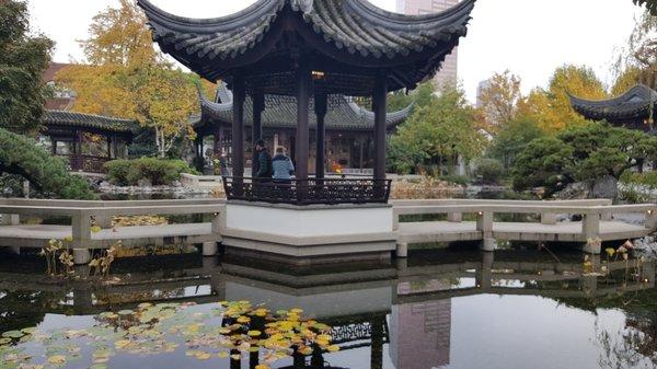 Inside Chinese Garden