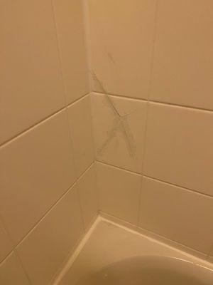 This is a poorly repaired crack in the tile in the shower