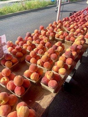 Peaches on peach day! (Aug 3 2024)