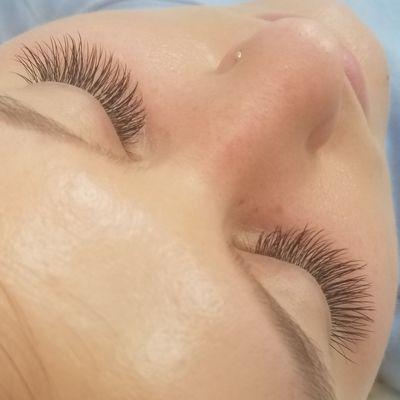 Hybrid Lashes