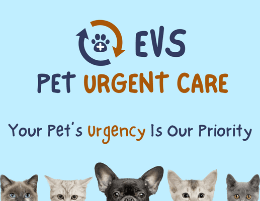 EVS Pet Urgent Care where your pet's urgency is our priority!