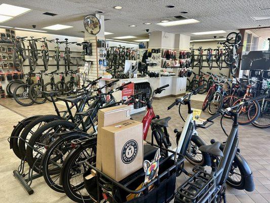 Velo Pro Cyclery