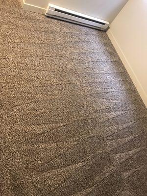 Clean carpet ready for move in