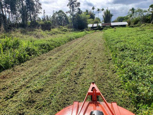 Field mowing. Keepin the lines straight!