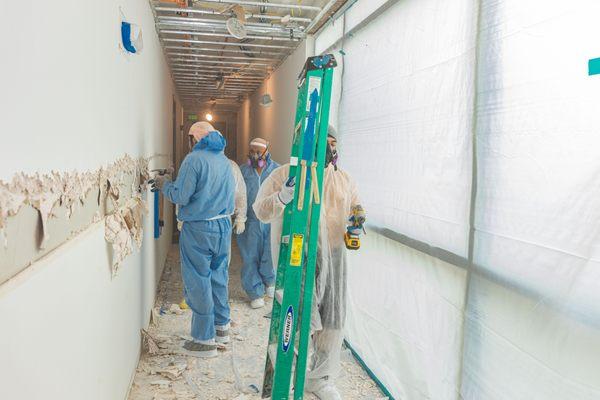 removing the wet drywall to prevent future damage