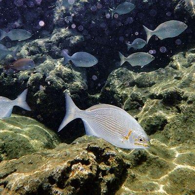 At Sharks Cove