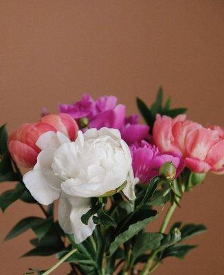 Peony season was short due to the heat, but they were so beautiful while they were available!