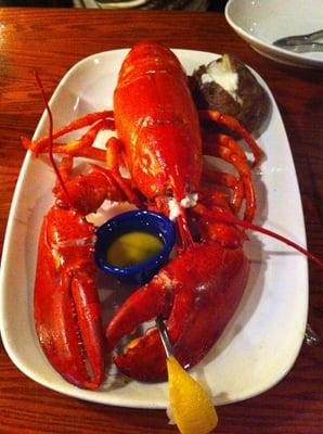 3 pound lobster