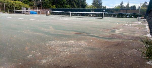 Newport Hills Swim & Tennis Club, Bellevue WA (June 2022)