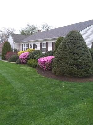 Inquire about our Tree & Shrub Program