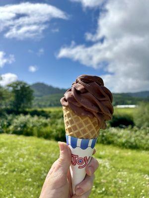 Mixed berry and chocolate ice cream