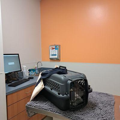 Vet office