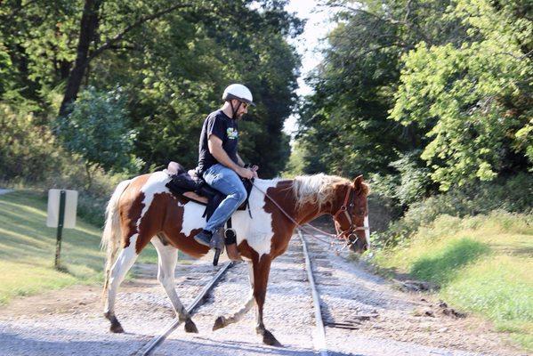 Horse crossing