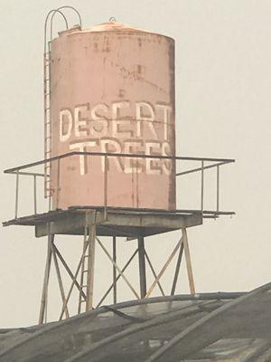 Desert Trees nw tucson wholesale" nursery water tower