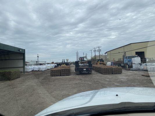 Overview of back half of lot, rolls of Bermuda in the middle.