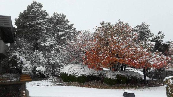 Colorful snow frosted landscape near TAC Air-Hamgar10