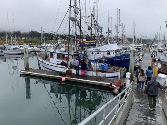 The Boat at Johnson Pier Dock G3