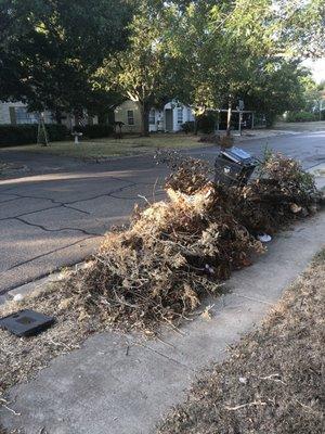 Yard waste to be removed.