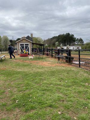 A mini barn and area where you can sit and watch the little ones ride a pony