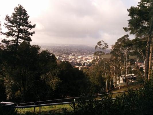 View of Berkeley from cafeteria.