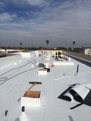 TPO single-ply roof installed on a new condominium building in Sherman Oaks.