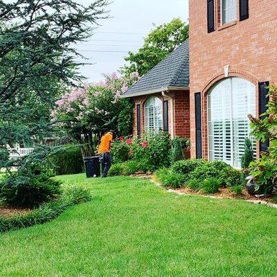 Lawn care clean ups gardens shrubs trees Lawn flowers mulch gutters grass