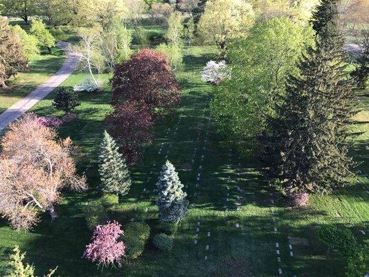 Hillcrest Park Cemetery was designed to have a park like setting with flush markers, beautiful trees, bushes and flowers.