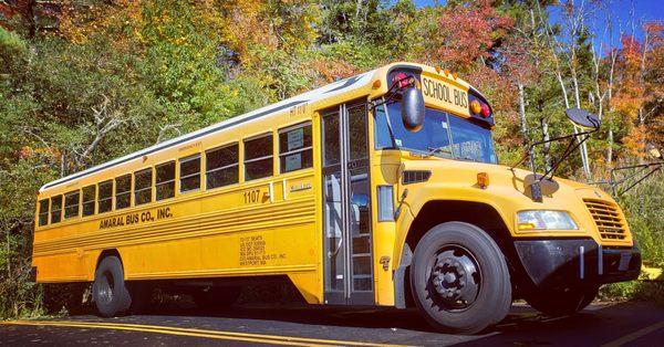 Offering School Bus and 7D transportation for schools and events!