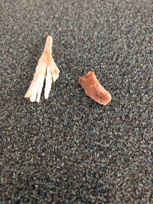 Cartilage and bone from turkey!