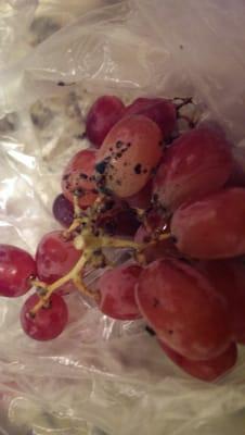 Moldy looking grapes. The grey spots on stems were definitely mold. no response from customer service.