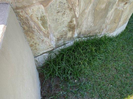 Mud pit and visible moisture and mold on the top portion of exposed concrete.