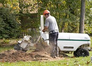 Scottie's Tree Service