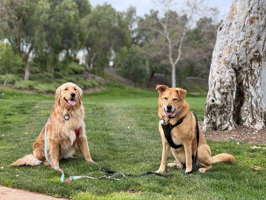 loving the park!