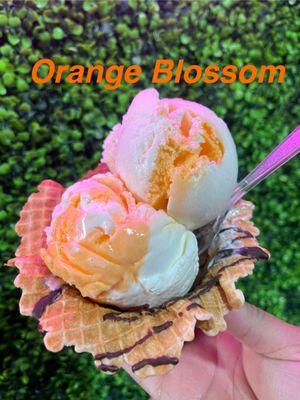 Orange Blossom
Premium Gold Ice Cream