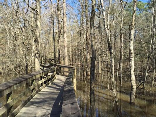 Boardwalk