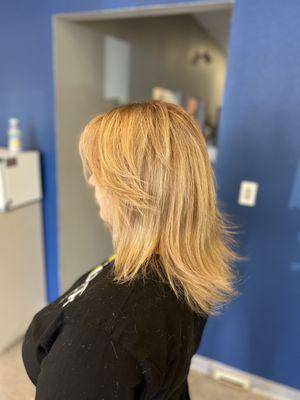 Highlights  Blow-dry