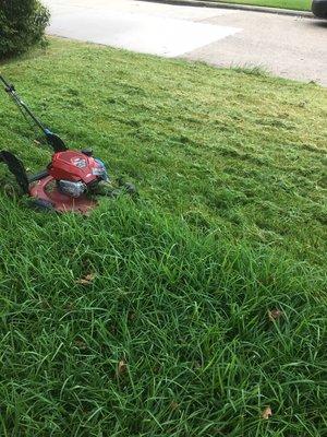 Lawn Mowing