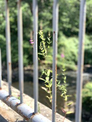 Take It To The Top- (Saw Mill River Underneath)