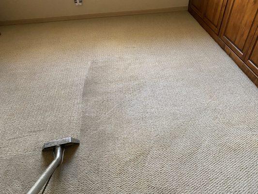 Carpet cleaning in Grayhawk, AZ