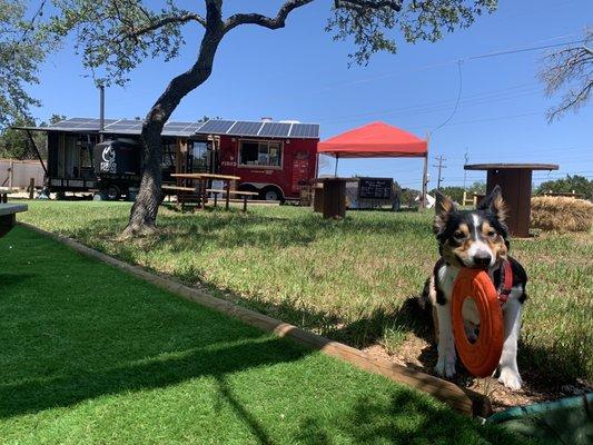 Smokey loves this place! Plenty of open area for tossing the frisbee!