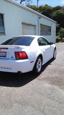 2002 mustang 5% tint on rear windows