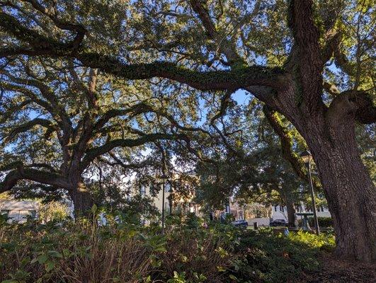 Columbia Square