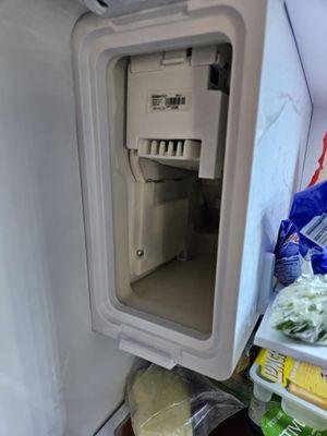 Ice maker