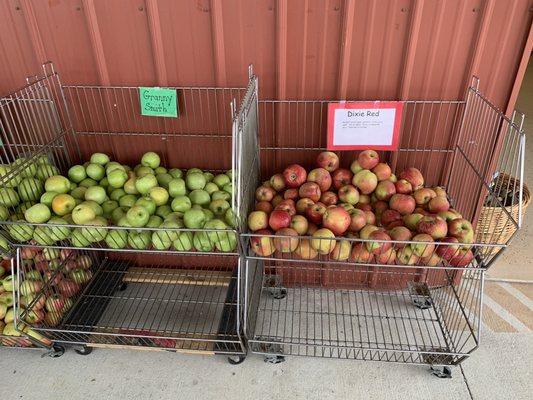 Apples for sale