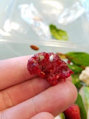 Moldy Raspberries.  :(