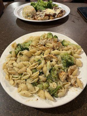 Chicken & broccoli with shells