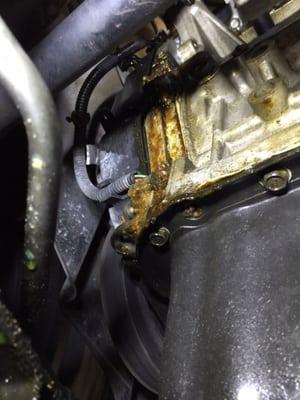 Leaky gasket