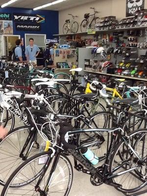 Good selection of cruiser bikes in addition to mountain bikes